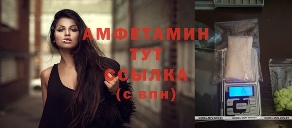мяу мяу мука Баксан