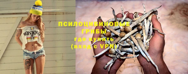 мяу мяу мука Баксан